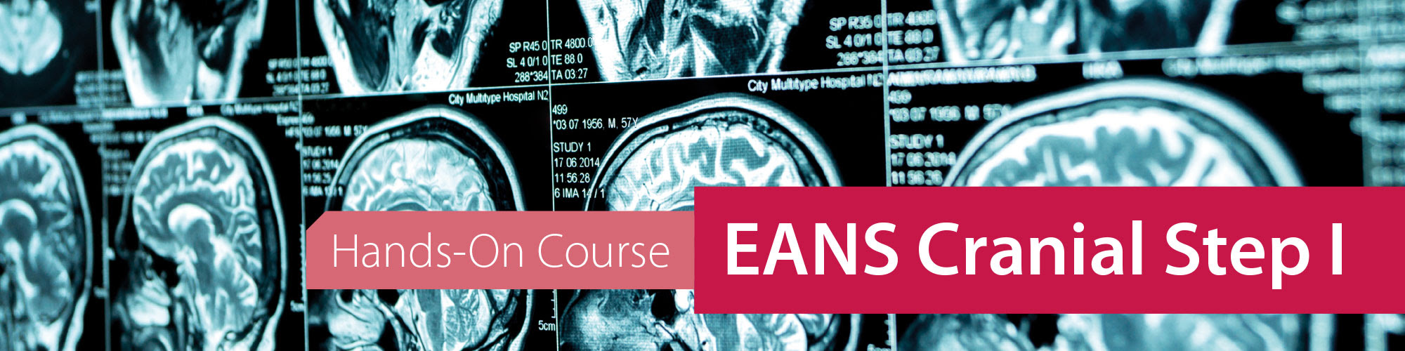 EANS Cranial Step I Hands-On Course