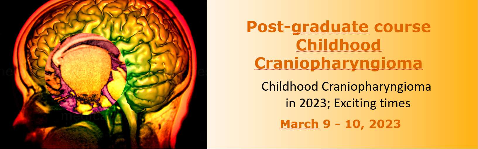 7th International Post-graduate Course on Childhood Craniopharyngioma