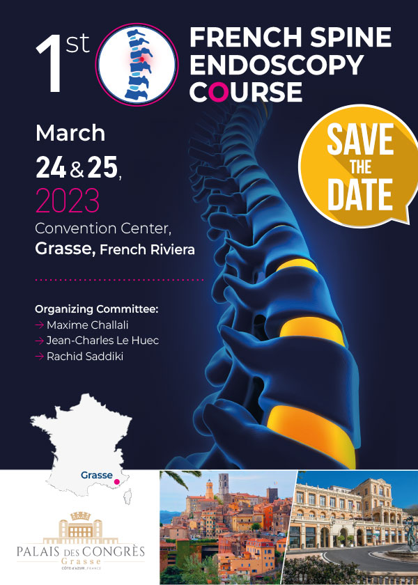 French Spine Endoscopy Course
